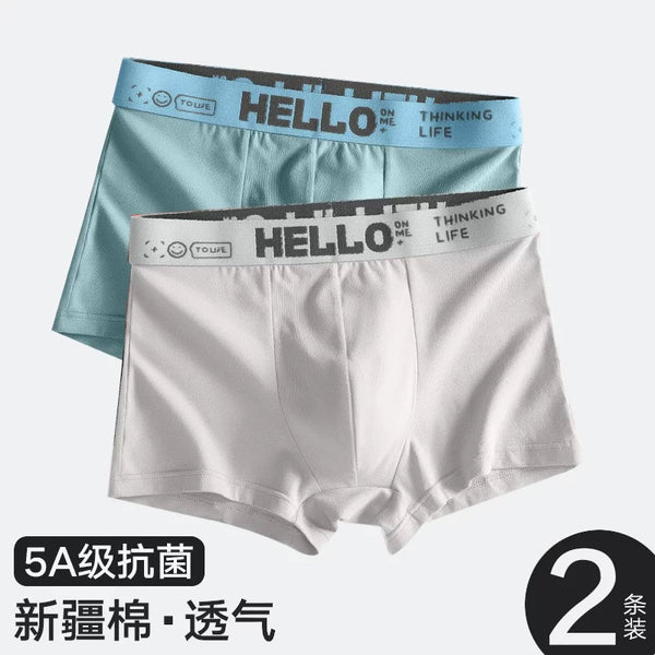 Taochang factory men's underwear boys pure cotton boxer briefs cotton antibacterial see-through